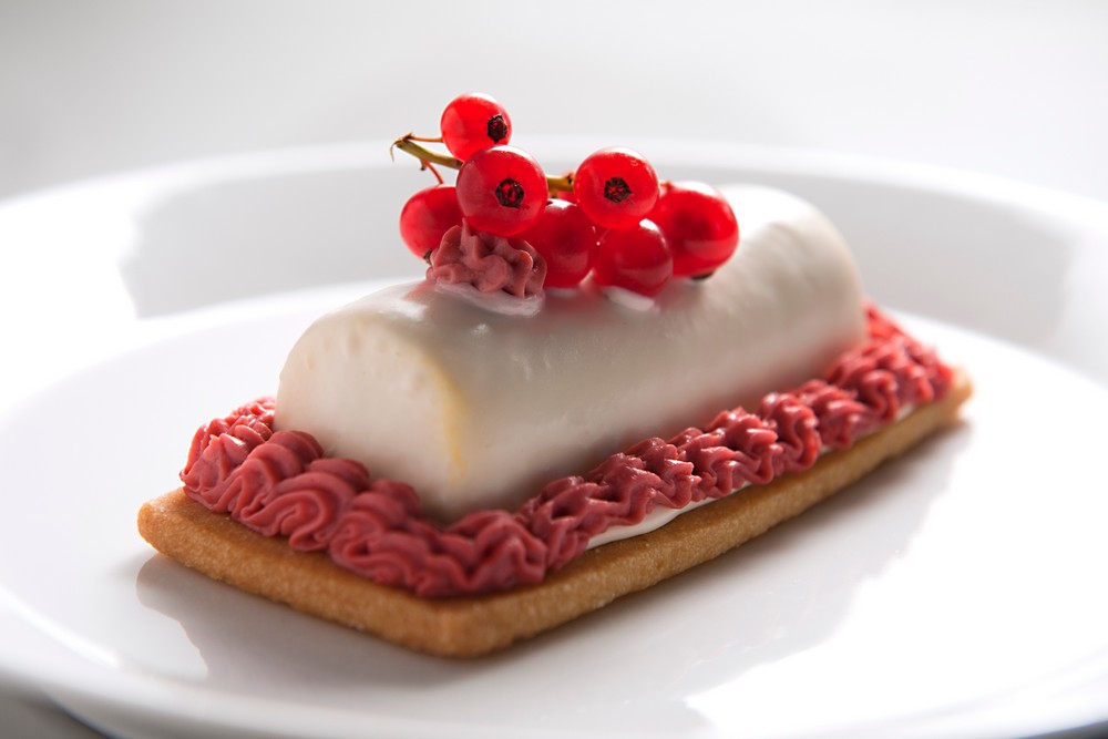 XENIA S.A.S. di Pasotti Edoardo e C | Taste